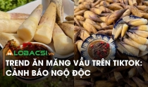 Trend ăn măng Vầu trên tiktok: Cảnh báo ngộ độc