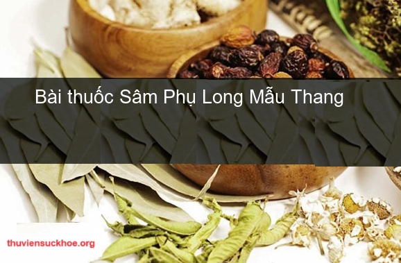 Bài thuốc Sâm Phụ Long Mẫu Thang