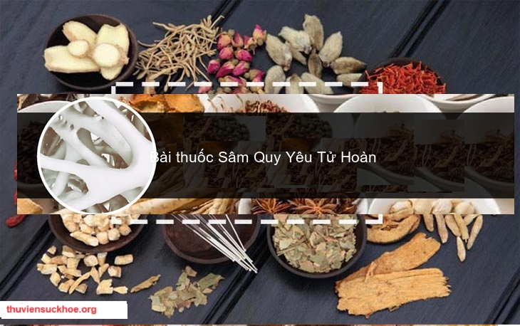 Bài thuốc Sâm Quy Yêu Tử Hoàn