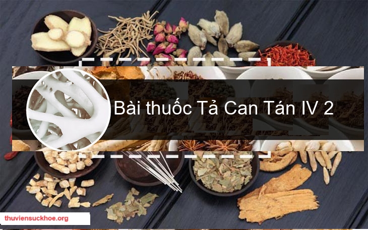 Bài thuốc Tả Can Tán IV 2
