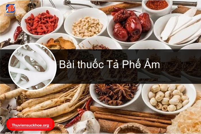 Bài thuốc Tả Phế Ẩm