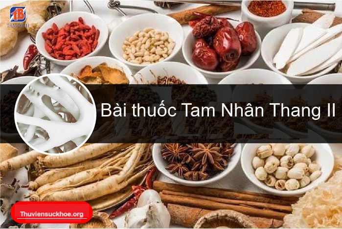 Bài thuốc Tam Nhân Thang II