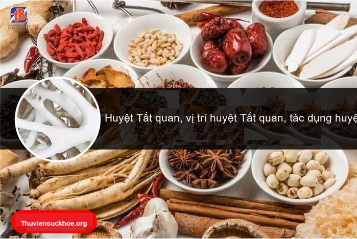 Huyệt Tất quan, vị trí huyệt Tất quan, tác dụng huyệt Tất quan, tat quan